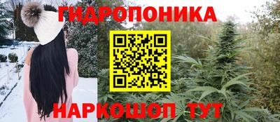 альфа пвп Гусев