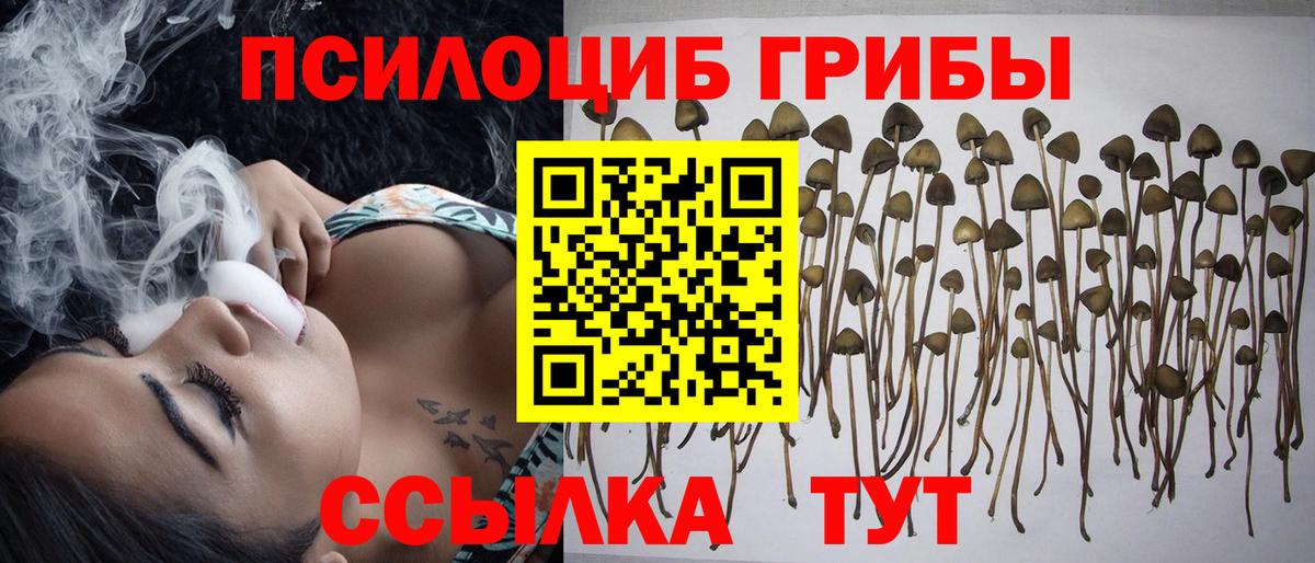 Псилоцибиновые грибы MAGIC MUSHROOMS  Вход с VPN  Мичуринск  Галлюциногенные грибы Magic Shrooms 